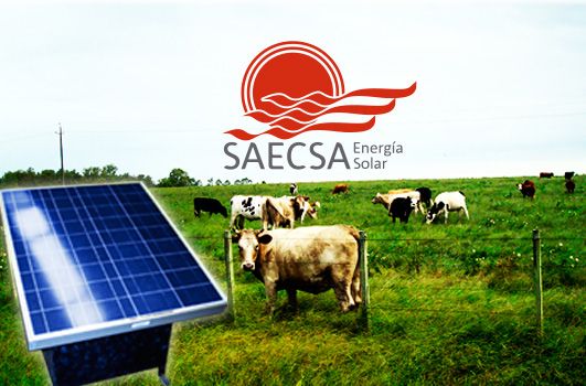 Cercos Eléctricos Solares